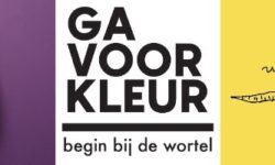 Ga voor kleur - begin bij de wortel